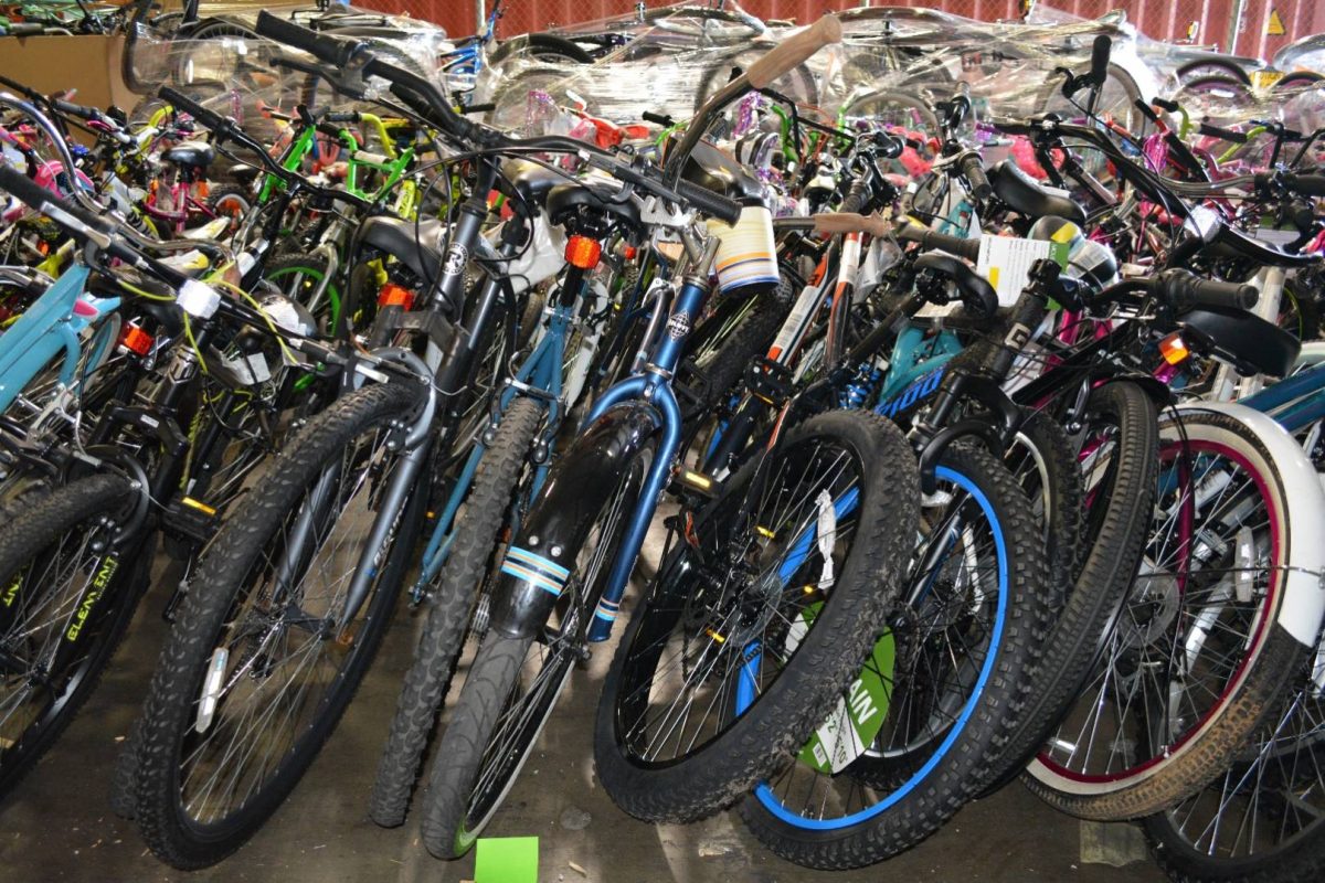 Bicycle pallets – Wholesale - Ninja Warehouse Liquidator